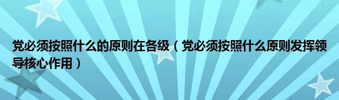 党必须按照什么的原则在各级（党必须按照什么原则发挥领导核心作用）