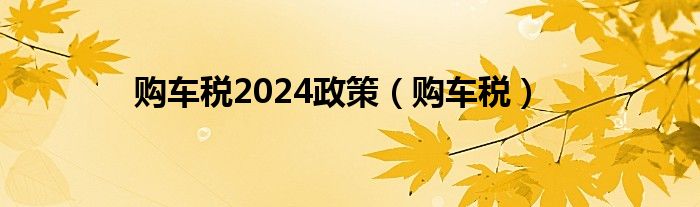 购车税2024政策（购车税）