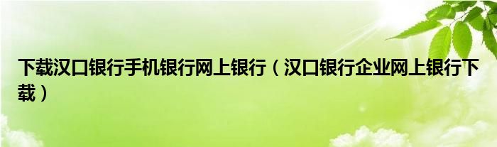 下载汉口银行手机银行网上银行（汉口银行企业网上银行下载）