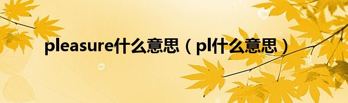 pleasure什么意思（pl什么意思）