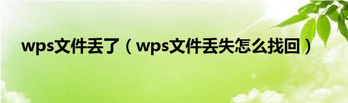 wps文件丢了（wps文件丢失怎么找回）