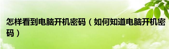 怎样看到电脑开机密码（如何知道电脑开机密码）