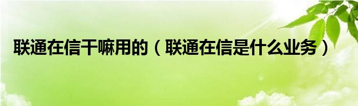 联通在信干嘛用的（联通在信是什么业务）