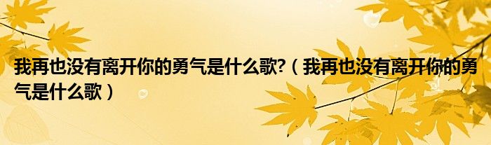 我再也没有离开你的勇气是什么歌?（我再也没有离开你的勇气是什么歌）