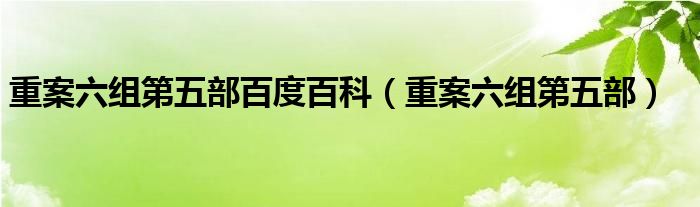 重案六组第五部百度百科（重案六组第五部）