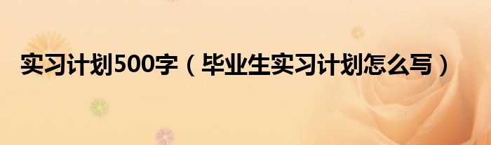 实习计划500字（毕业生实习计划怎么写）