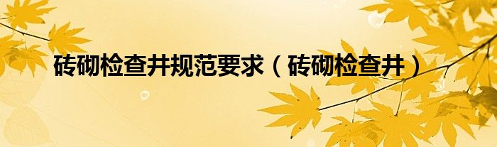 砖砌检查井规范要求（砖砌检查井）