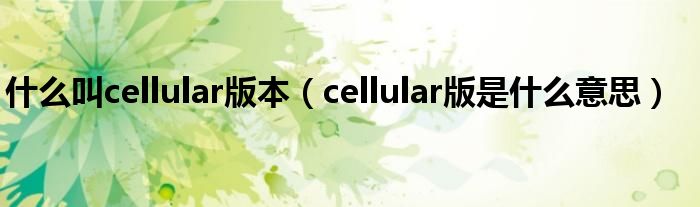 什么叫cellular版本（cellular版是什么意思）