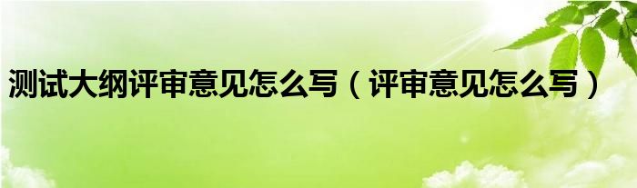 测试大纲评审意见怎么写（评审意见怎么写）