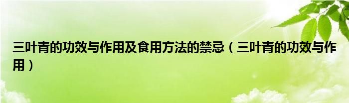 三叶青的功效与作用及食用方法的禁忌（三叶青的功效与作用）