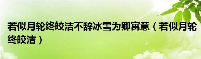 若似月轮终皎洁不辞冰雪为卿寓意（若似月轮终皎洁）