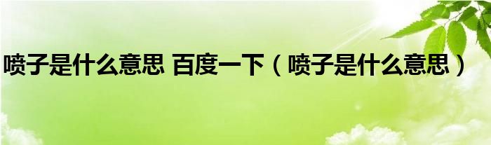 喷子是什么意思 百度一下（喷子是什么意思）