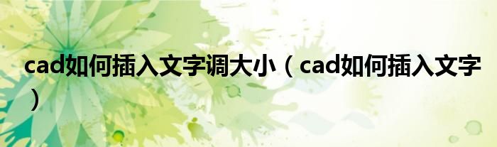 cad如何插入文字调大小（cad如何插入文字）