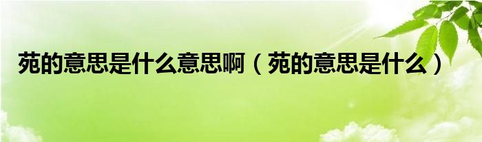 苑的意思是什么意思啊（苑的意思是什么）