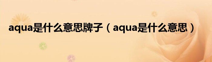 aqua是什么意思牌子（aqua是什么意思）