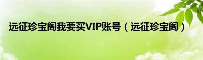 远征珍宝阁我要买VIP账号（远征珍宝阁）