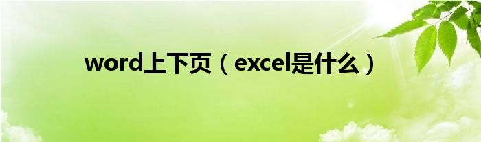 word上下页（excel是什么）