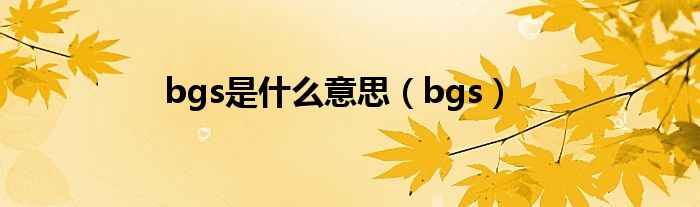 bgs是什么意思（bgs）