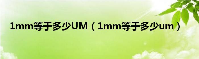 1mm等于多少UM（1mm等于多少um）