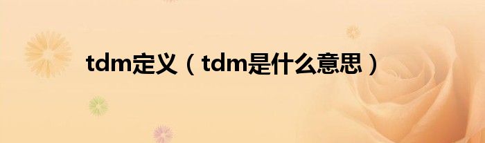 tdm定义（tdm是什么意思）