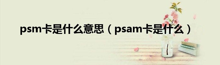 psm卡是什么意思（psam卡是什么）