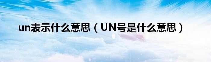 un表示什么意思（UN号是什么意思）