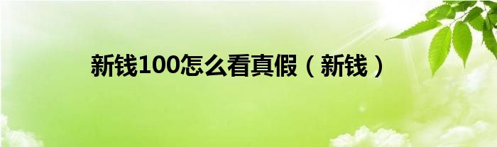 新钱100怎么看真假（新钱）