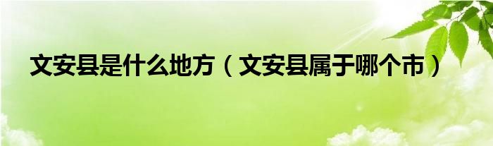 文安县是什么地方（文安县属于哪个市）