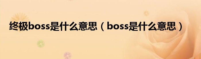 终极boss是什么意思（boss是什么意思）