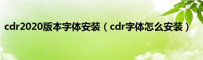 cdr2020版本字体安装（cdr字体怎么安装）