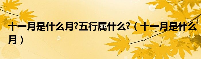 十一月是什么月?五行属什么?（十一月是什么月）