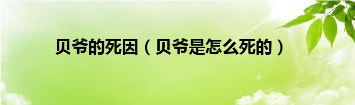 贝爷的死因（贝爷是怎么死的）