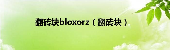 翻砖块bloxorz（翻砖块）