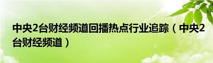 中央2台财经频道回播热点行业追踪（中央2台财经频道）