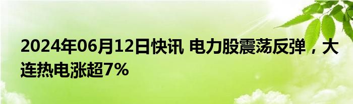 2024年06月12日快讯 电力股震荡反弹，大连热电涨超7%