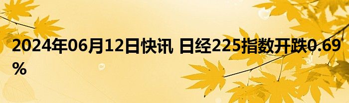 2024年06月12日快讯 日经225指数开跌0.69%