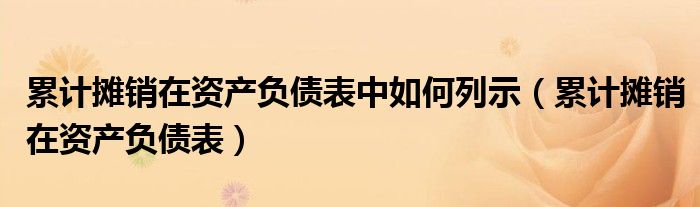 累计摊销在资产负债表中如何列示（累计摊销在资产负债表）