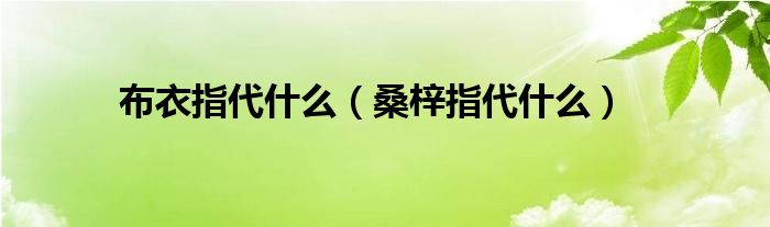 布衣指代什么（桑梓指代什么）