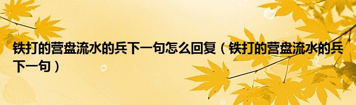 铁打的营盘流水的兵下一句怎么回复（铁打的营盘流水的兵下一句）