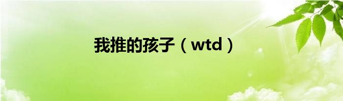 我推的孩子（wtd）