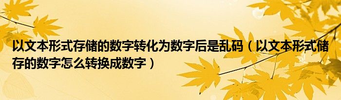 以文本形式存储的数字转化为数字后是乱码（以文本形式储存的数字怎么转换成数字）