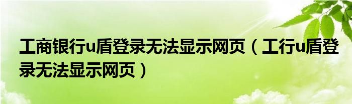 工商银行u盾登录无法显示网页（工行u盾登录无法显示网页）