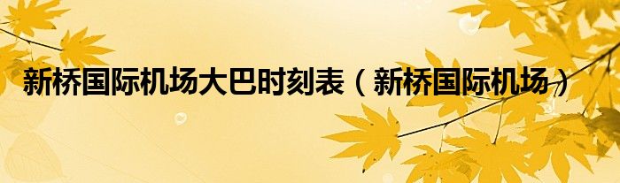 新桥国际机场大巴时刻表（新桥国际机场）