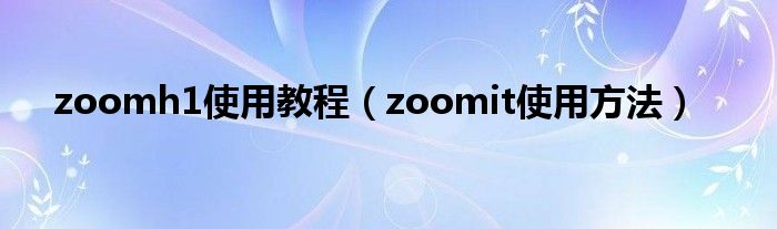 zoomh1使用教程（zoomit使用方法）