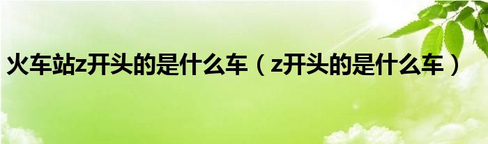 火车站z开头的是什么车（z开头的是什么车）