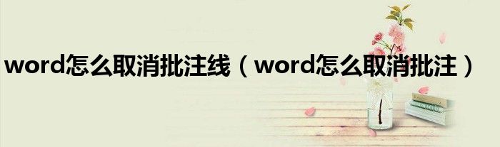 word怎么取消批注线（word怎么取消批注）