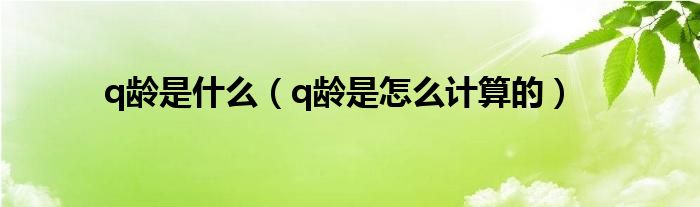 q龄是什么（q龄是怎么计算的）