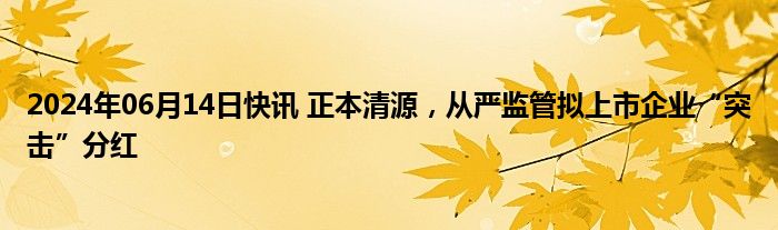 2024年06月14日快讯 正本清源，从严监管拟上市企业“突击”分红