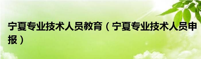 宁夏专业技术人员教育（宁夏专业技术人员申报）