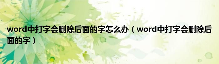 word中打字会删除后面的字怎么办（word中打字会删除后面的字）